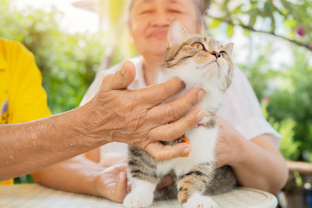 How Seniors Benefit - Golden Paws Program