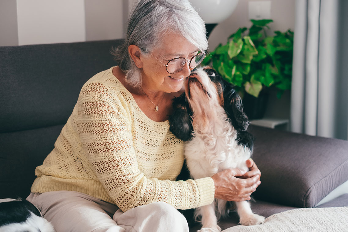The Golden Paws Program – A Lifeline for Shelter Pets